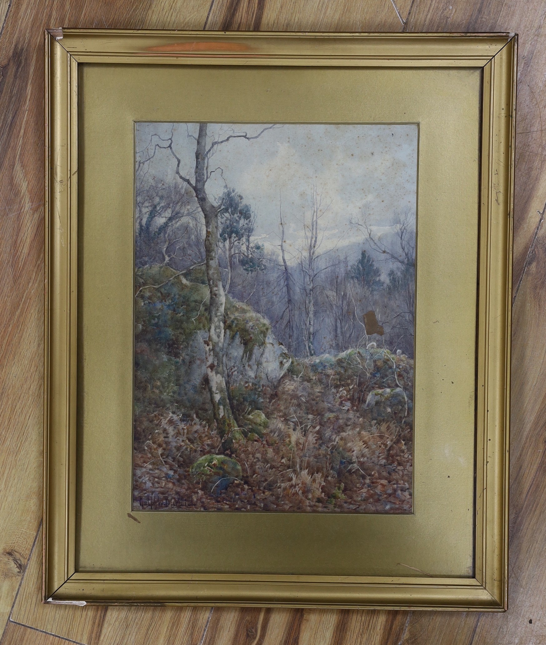 Ralph William Bardill (1876-1935), watercolour, 'A Wood in the Llugwy Valley', signed, 32 x 23cm